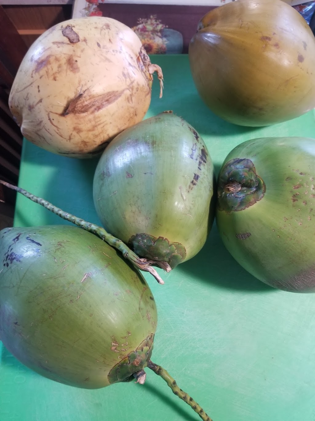 Hart of Jamaica | restaurant | 50 Crestfield Terrace, Brockton, MA 02302, USA | 7742921155 OR +1 774-292-1155