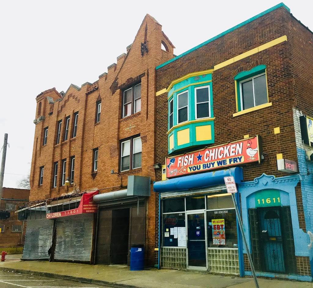 Blue Fish & Chicken | restaurant | 11611 Linwood St, Detroit, MI 48206, USA | 3138658215 OR +1 313-865-8215