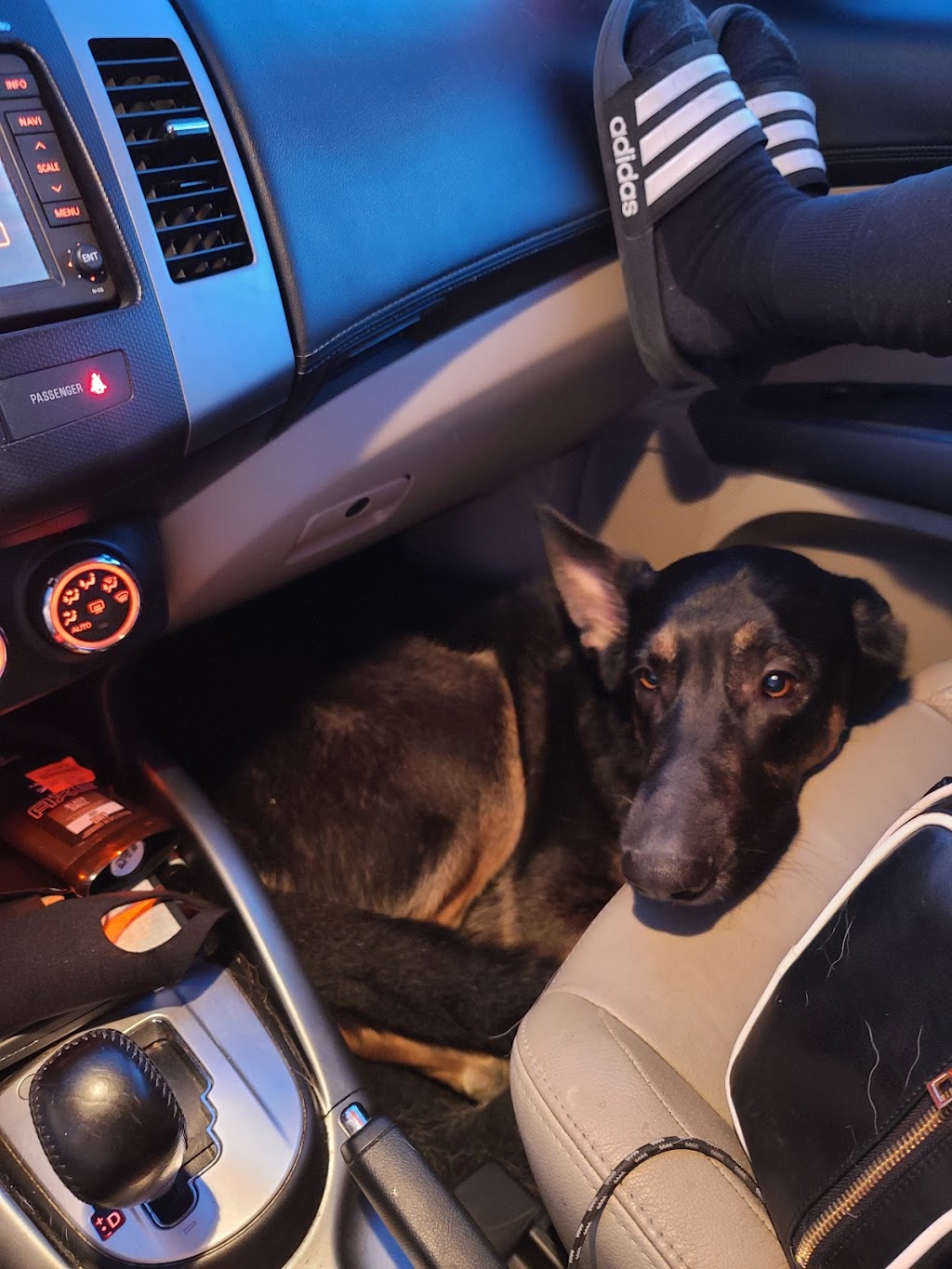 Ritas Italian Ice & Frozen Custard | restaurant | 3712 Fifth Ave, South Oakland, PA 15213, USA | 4126216423 OR +1 412-621-6423