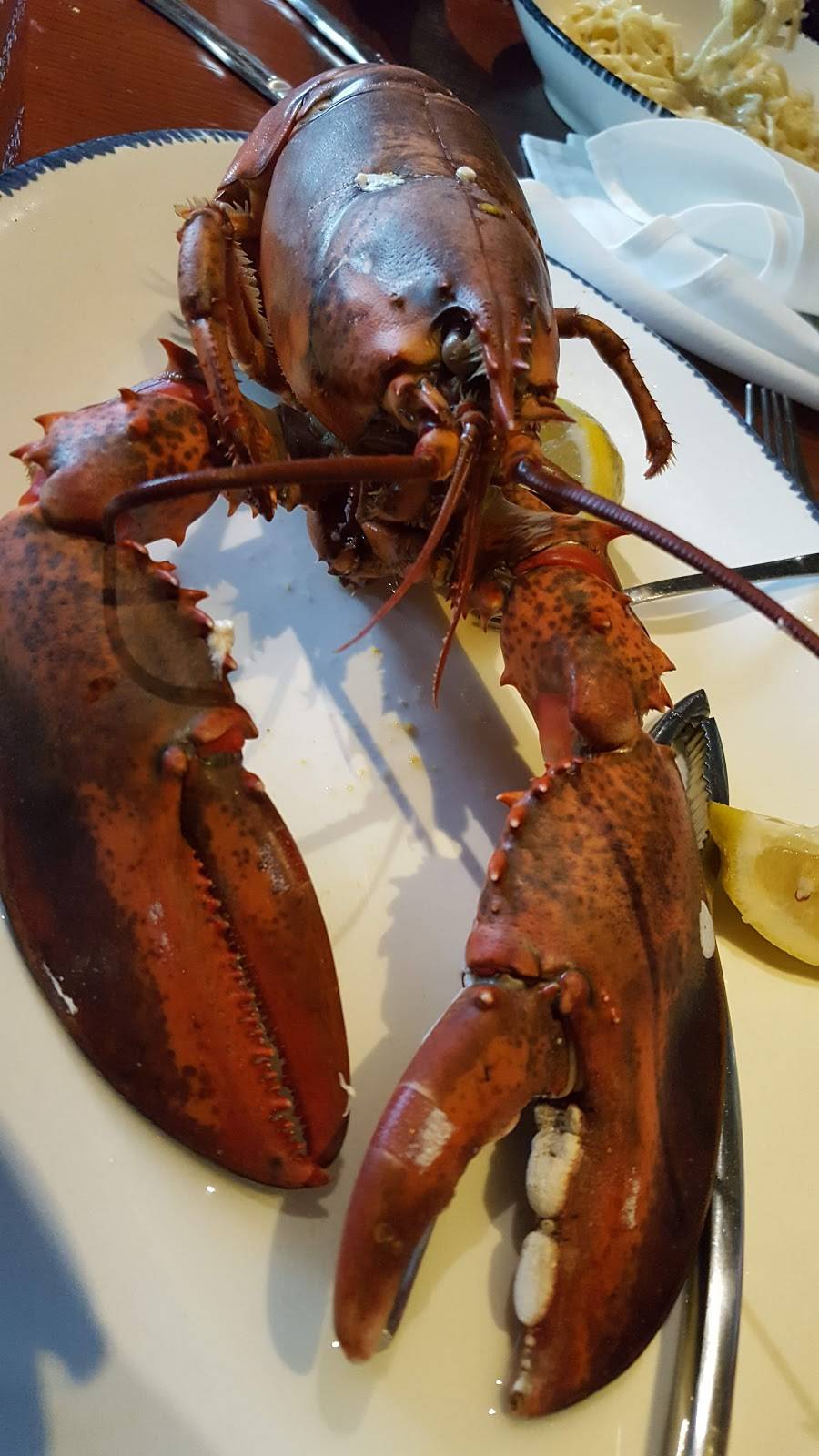 Red Lobster | restaurant | 2090 Lincoln Hwy E, Lancaster, PA 17602, USA | 7172911147 OR +1 717-291-1147