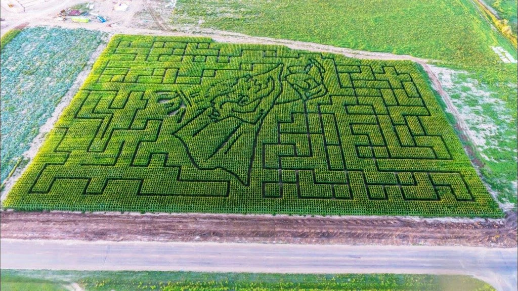 Royal Splash Texas | restaurant | 4000 Interstate 27 Service, Plainview, TX 79072, USA | 8062131313 OR +1 806-213-1313