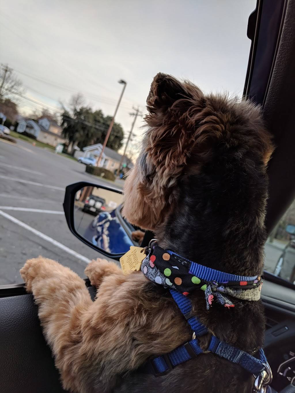 Burger King | restaurant | 115 Lincoln Blvd, Lincoln, CA 95648, USA | 9166456839 OR +1 916-645-6839