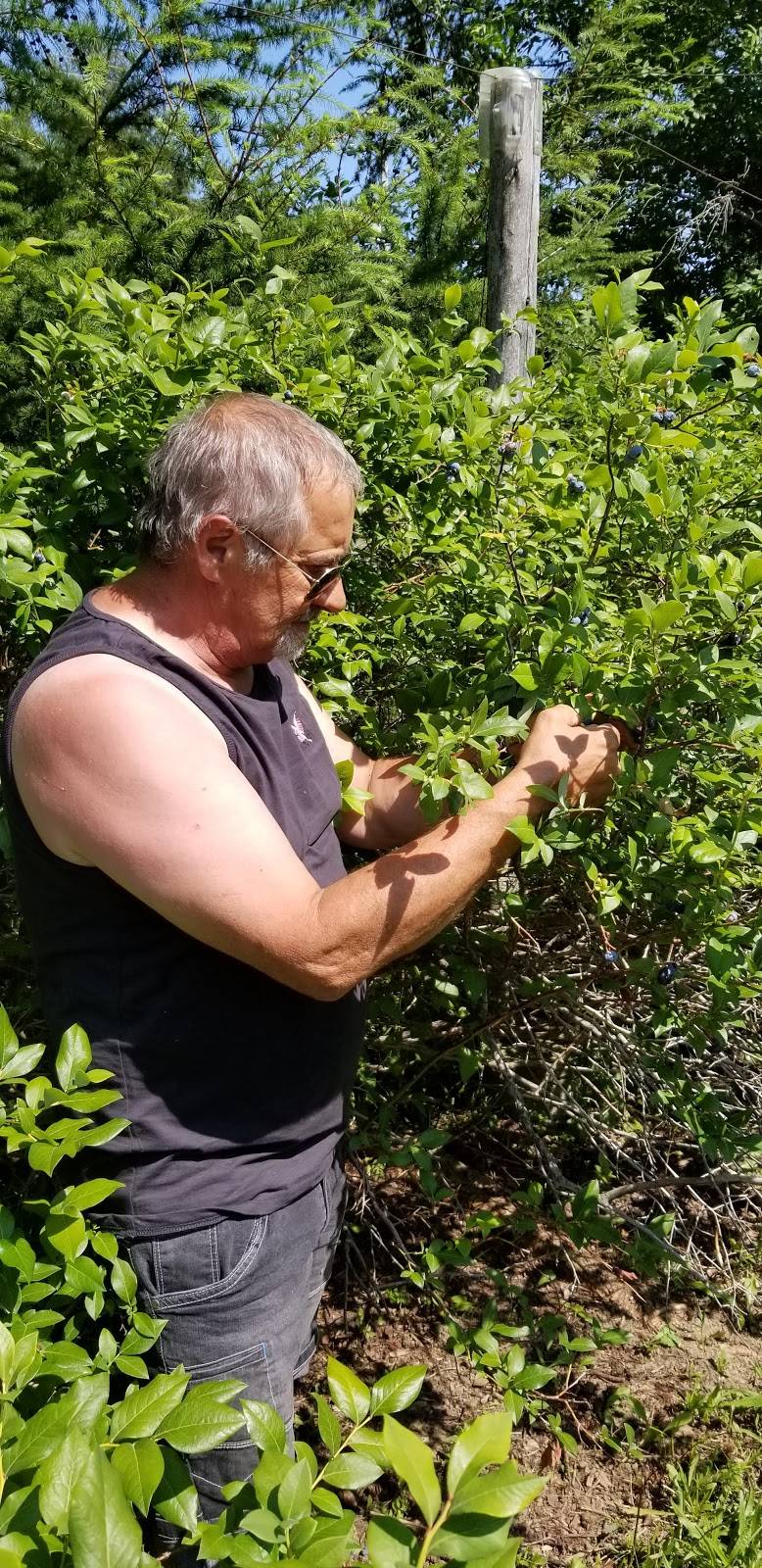 Domaine La vie en Bleu | restaurant | 101 4e Rang S, Saint-Jean-sur-Richelieu, QC J2X 5V1, Canada | 4508950762 OR +1 450-895-0762