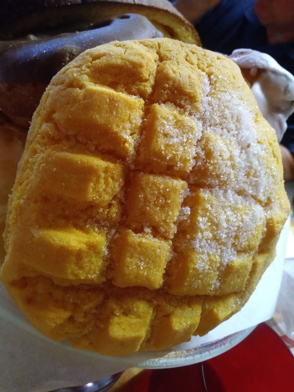 Mezquite | restaurant | 2955, 9995 Alameda Ave, Socorro, TX 79927, USA | 9152289470 OR +1 915-228-9470