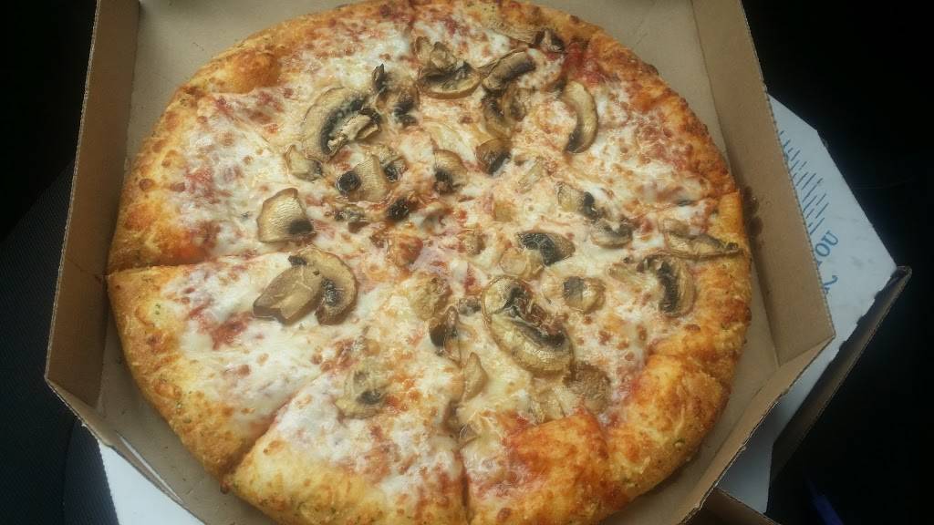 Dominos Pizza | meal delivery | 45 W Sauk Trail, South Chicago Heights, IL 60411, USA | 7084413338 OR +1 708-441-3338