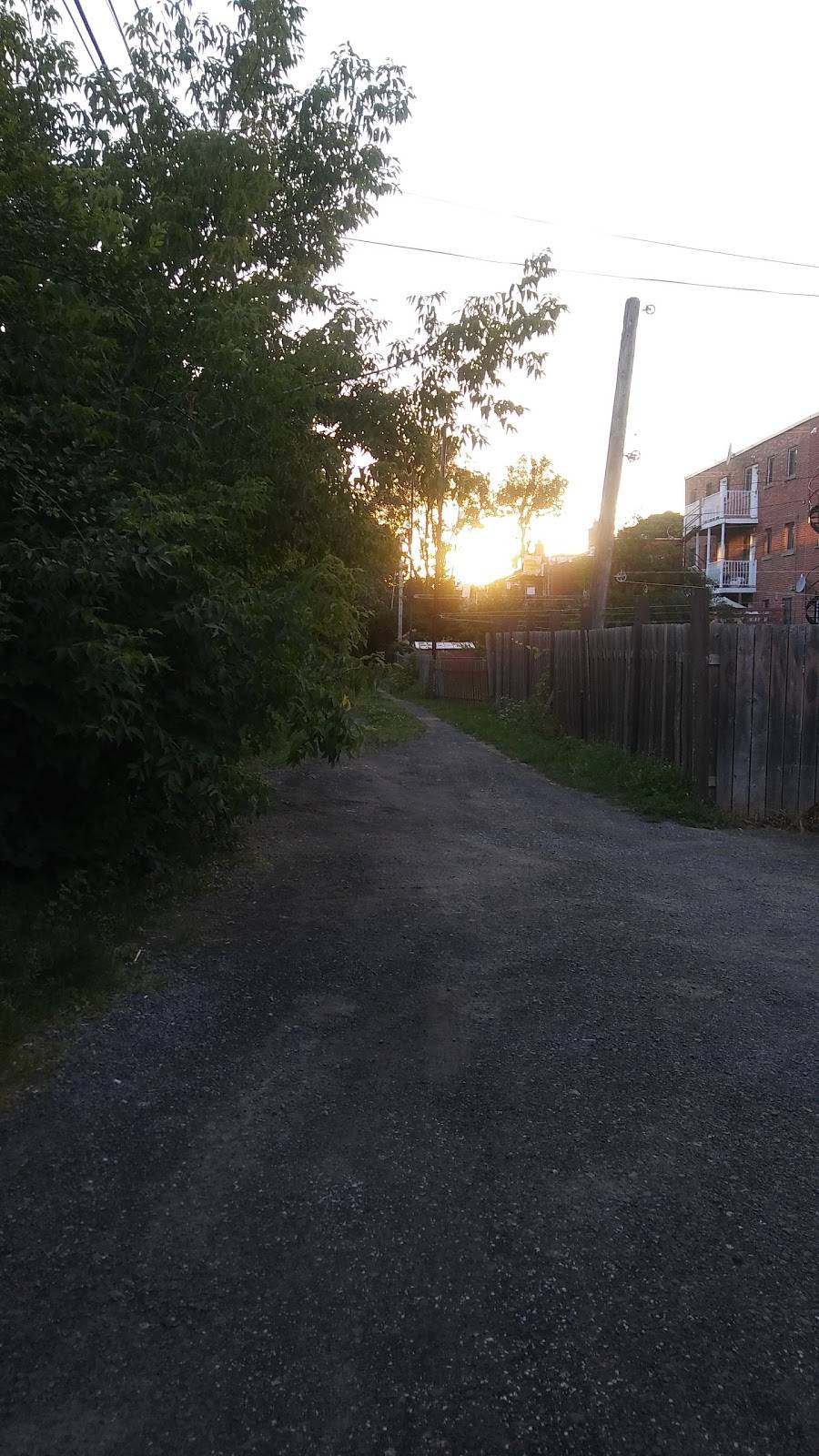 Brasserie Cannebière 1986 Inc | restaurant | 4975 Rue Beaubien E, Montréal, QC H1T 1V3, Canada | 5147293442 OR +1 514-729-3442