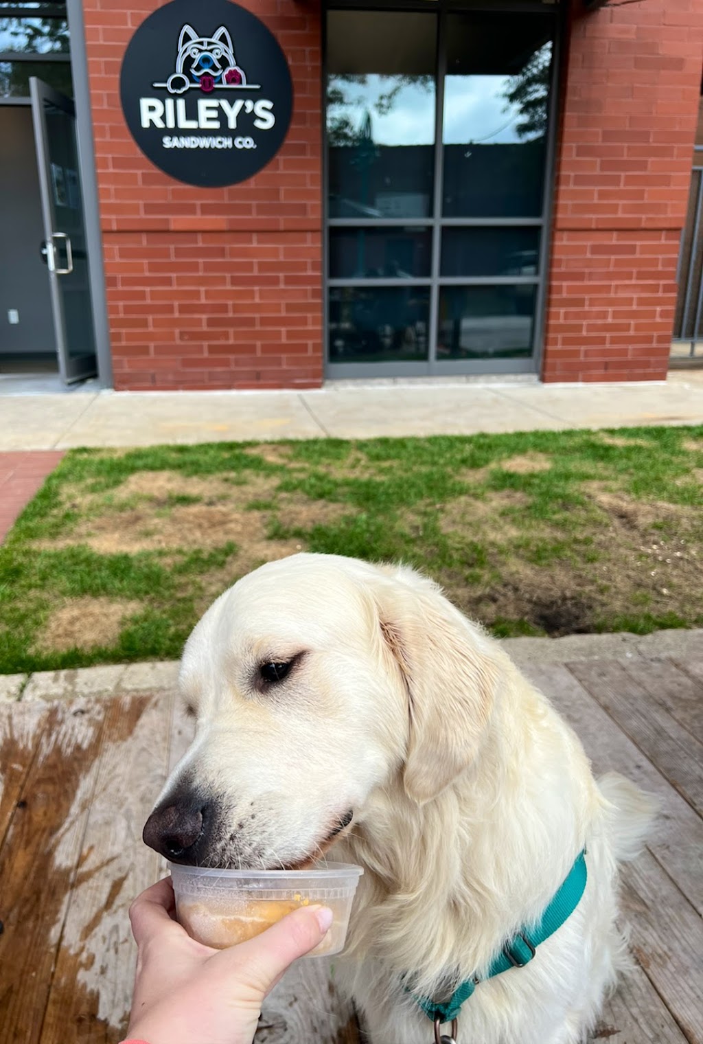 Rileys Sandwich Co. | restaurant | 148 N Milwaukee St, Milwaukee, WI 53202, USA | 4142313628 OR +1 414-231-3628