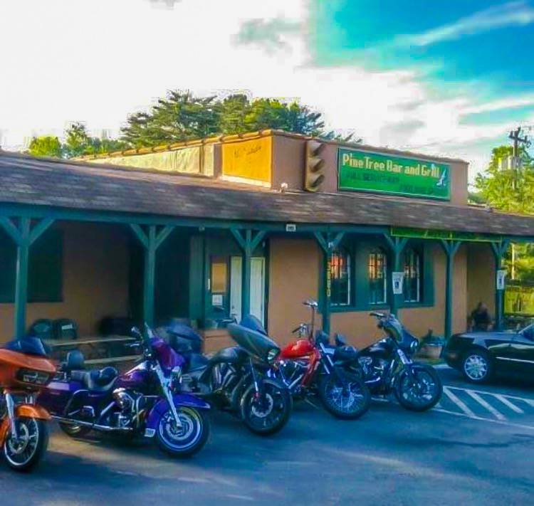 Pine Tree Tavern | night club | 3880 Bethania Station Rd, Winston-Salem, NC 27106, USA | 3368151220 OR +1 336-815-1220