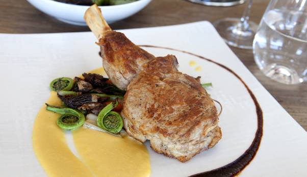 Olivella | restaurant | 905 Country Club Road, Olivella, Ojai, CA 93023, USA | 8056461111 OR +1 805-646-1111