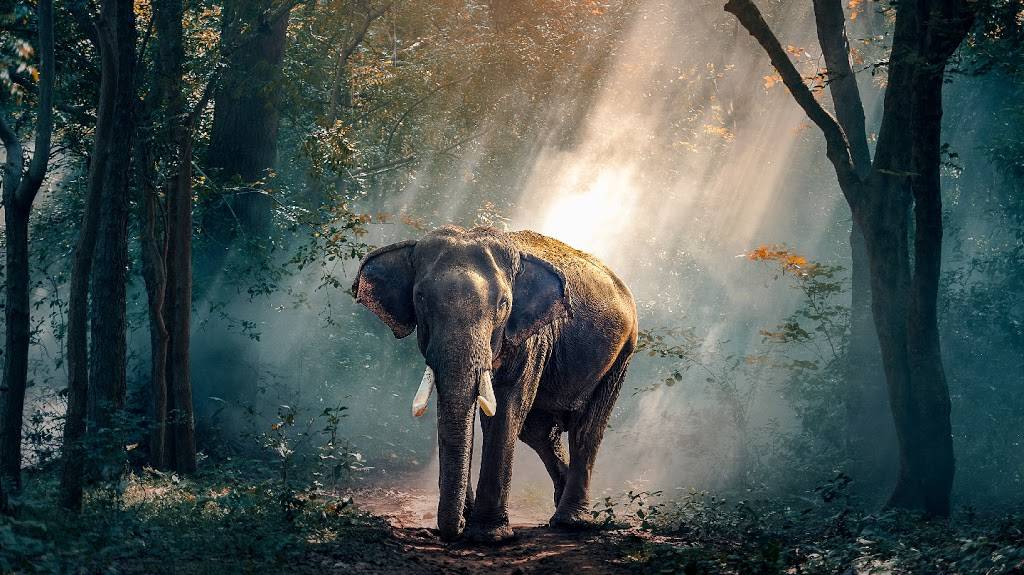 Spice Room | Neighborhood Indian Bistro | restaurant | 3157 W 38th Ave, Denver, CO 80211, USA | 3034553127 OR +1 303-455-3127