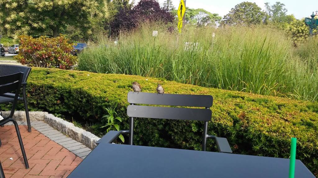 Starbucks | cafe | 29 Park Pl, Bronxville, NY 10708, USA | 9147719103 OR +1 914-771-9103