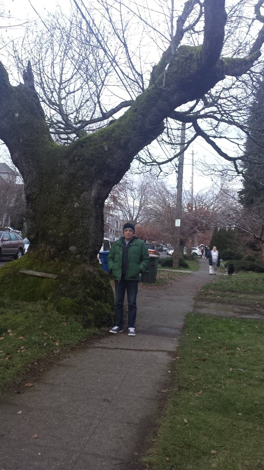 Justfood catering | restaurant | 936 20th Ave, Seattle, WA 98122, USA | 2062716199 OR +1 206-271-6199