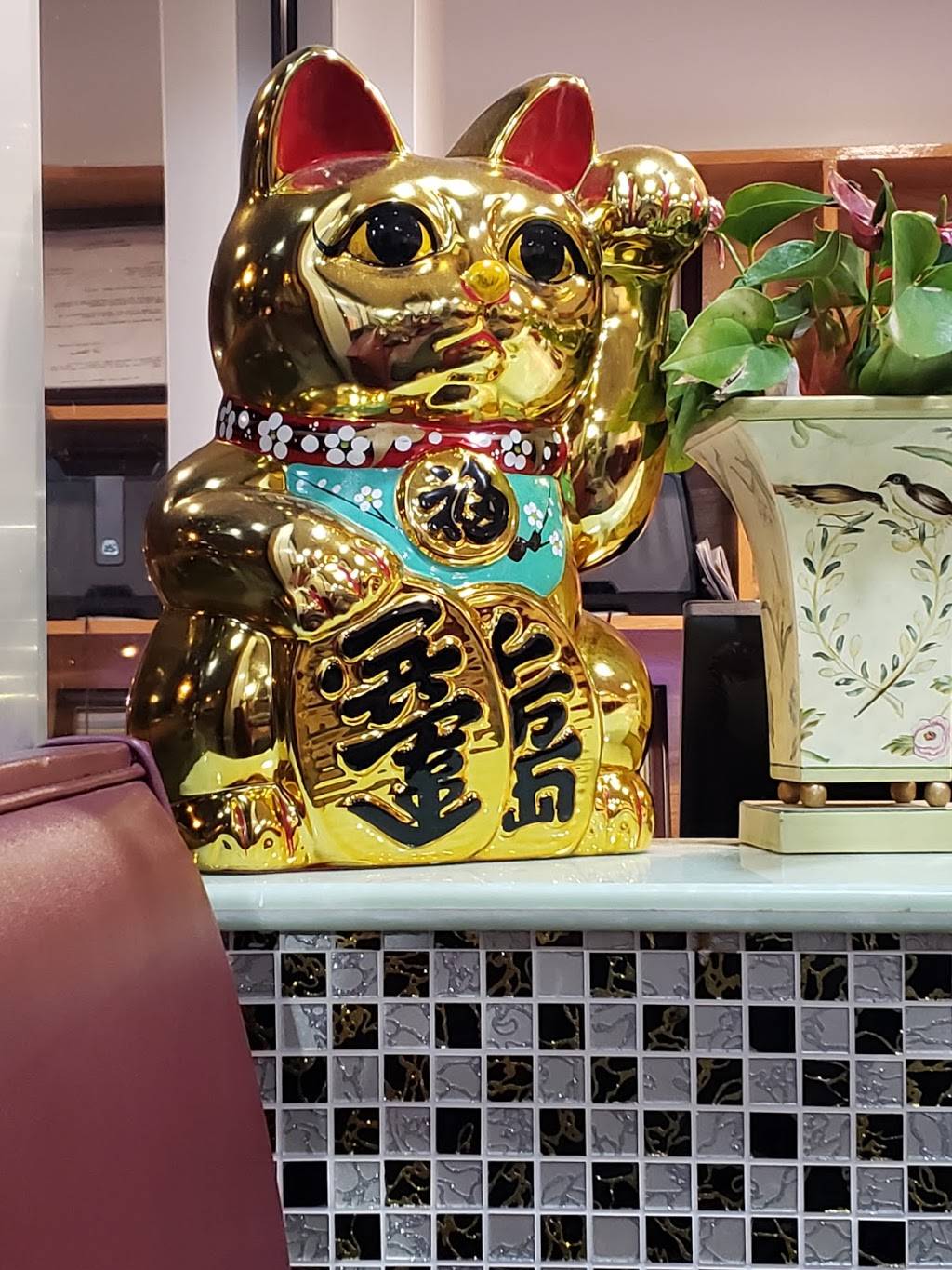 New Oriental Restaurant | restaurant | 550 E Chestnut Expy, Springfield, MO 65806, USA | 4173515686 OR +1 417-351-5686