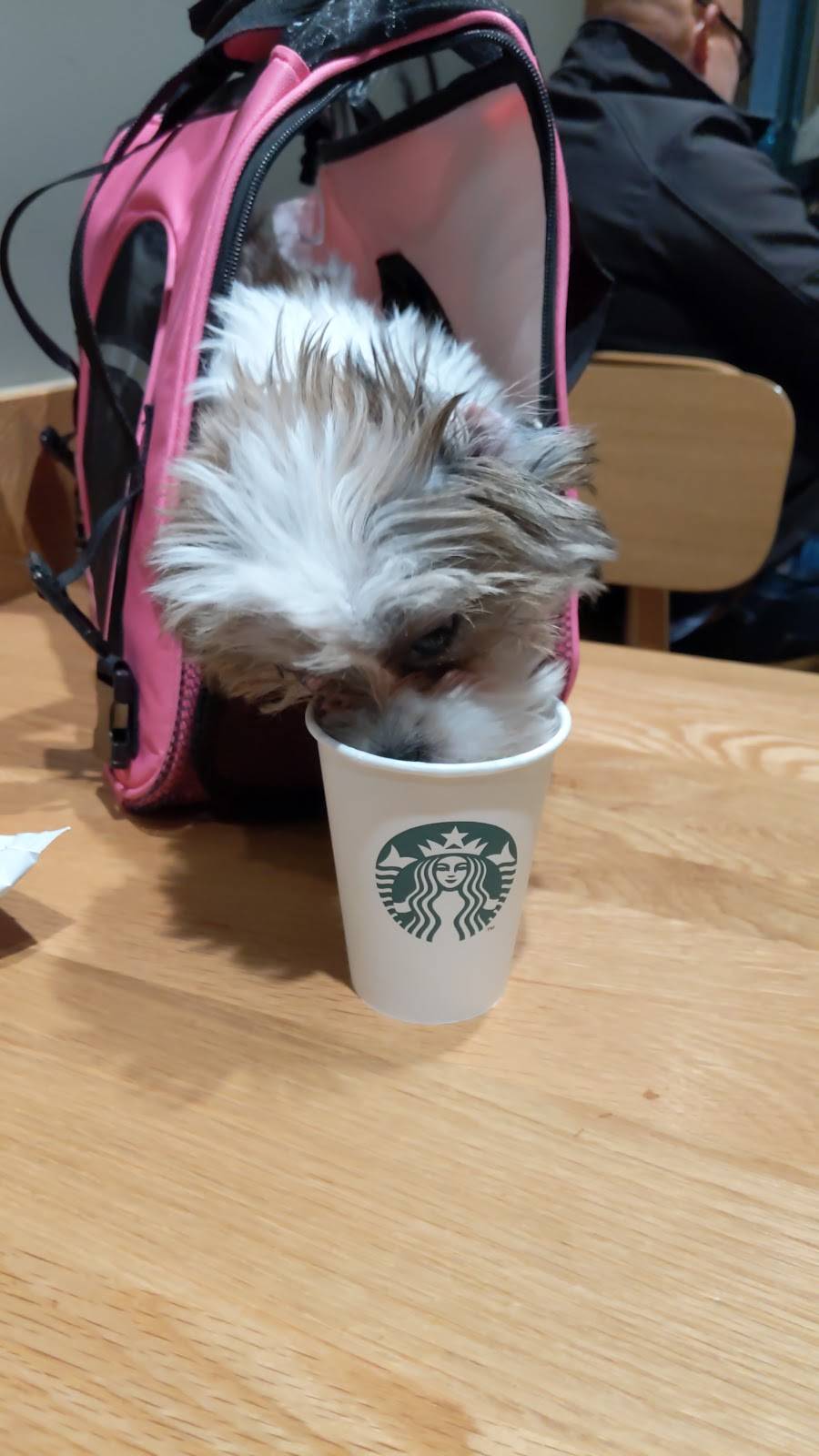 Starbucks | cafe | 1857 W 11th St, Tracy, CA 95376, USA | 2098301348 OR +1 209-830-1348