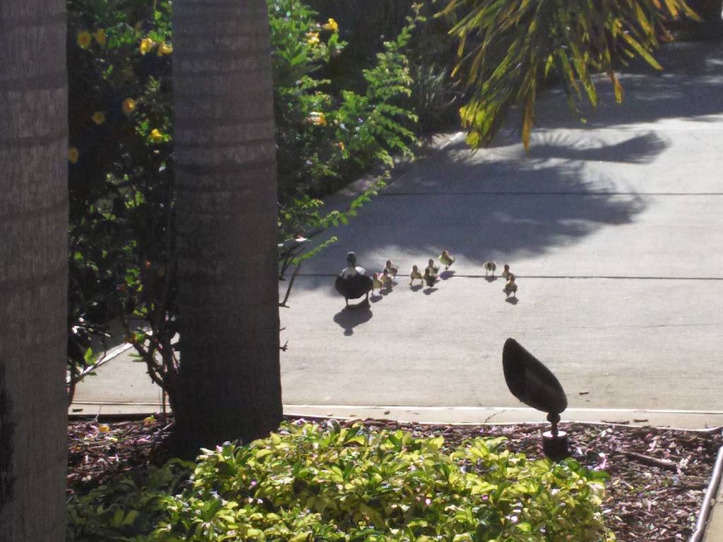 Circles | restaurant | 13002 N Dale Mabry Hwy, Tampa, FL 33618, USA | 8139690001 OR +1 813-969-0001