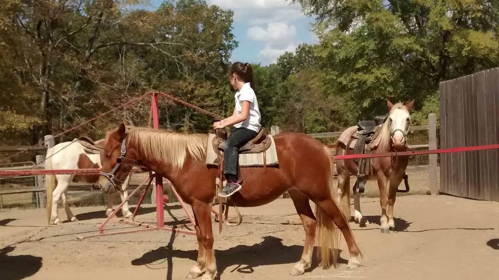 Cedar Hill Farm | restaurant | 8 Love Rd, Hernando, MS 38632, USA | 6624292540 OR +1 662-429-2540