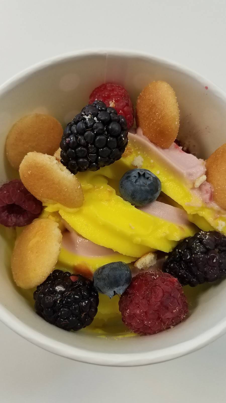 Igloo Frozen Yogurt and Treats | meal takeaway | 44 Front St, Berea, OH 44017, USA | 4402348744 OR +1 440-234-8744