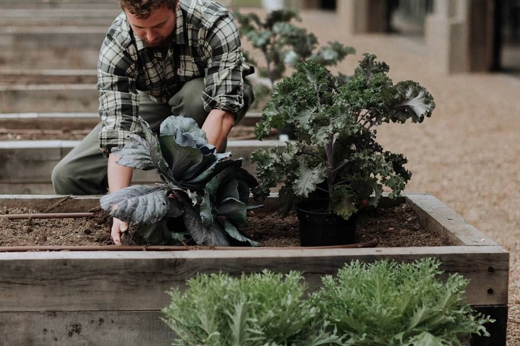 The Ozark Mill at Finley Farms | restaurant | 802 Finley Farms Lane, Ozark, MO 65721, USA | 4172106690 OR +1 417-210-6690