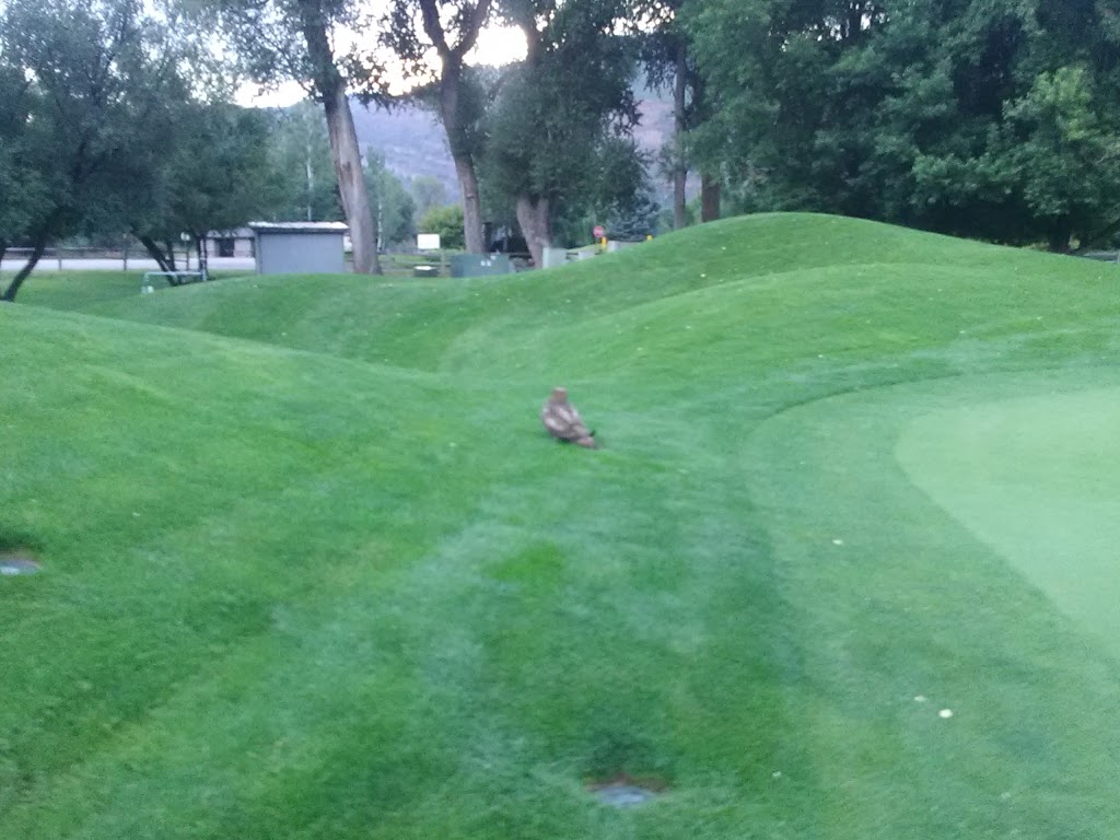 Dalton Ranch Golf Club | restaurant | 589 Co Rd 252, Durango, CO 81301, USA | 9702477921 OR +1 970-247-7921