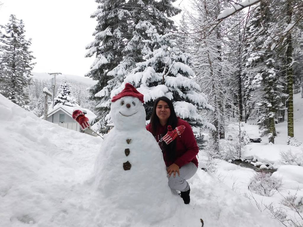 Bassett Station | cafe | 100 Gold Lake Rd, Sierra City, CA 96125, USA | 5308621297 OR +1 530-862-1297