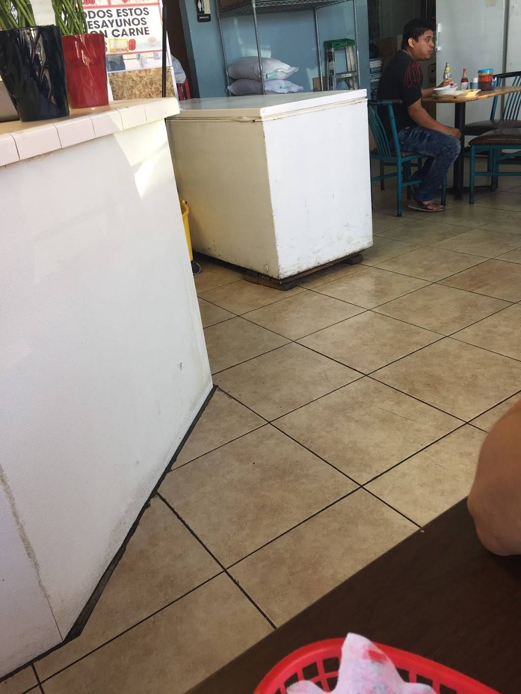 La Guira | restaurant | 425 NW 12th Ave D, Miami, FL 33128, USA | 3053246707 OR +1 305-324-6707