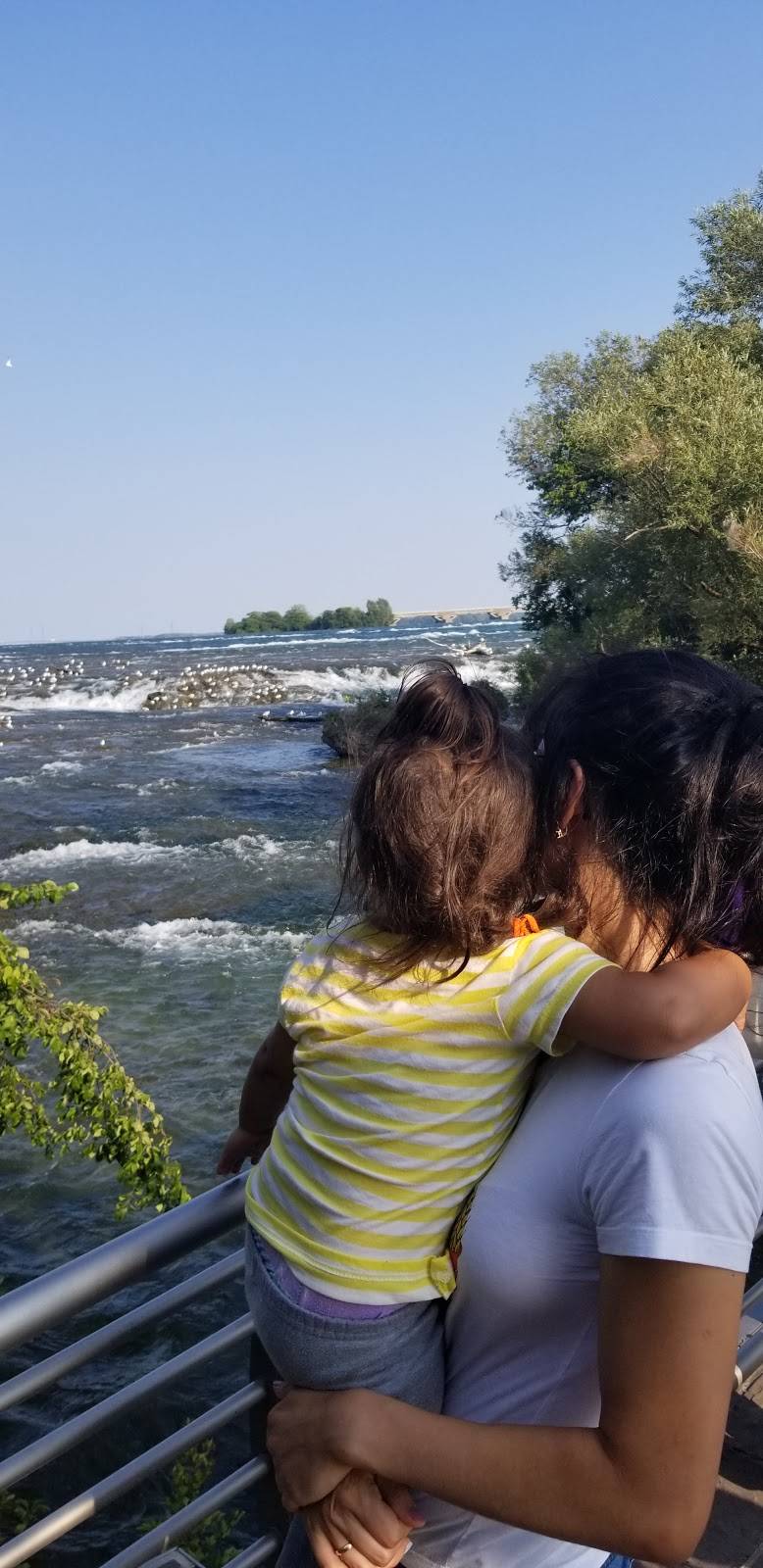 Original gyro | restaurant | 424 Semple St, Pittsburgh, PA 15213, USA | 4126214500 OR +1 412-621-4500