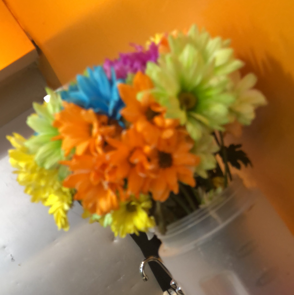 Ravis Hyderabad House | restaurant | 2518 Clifton Ave, Cincinnati, OH 45219, USA | 5132217284 OR +1 513-221-7284