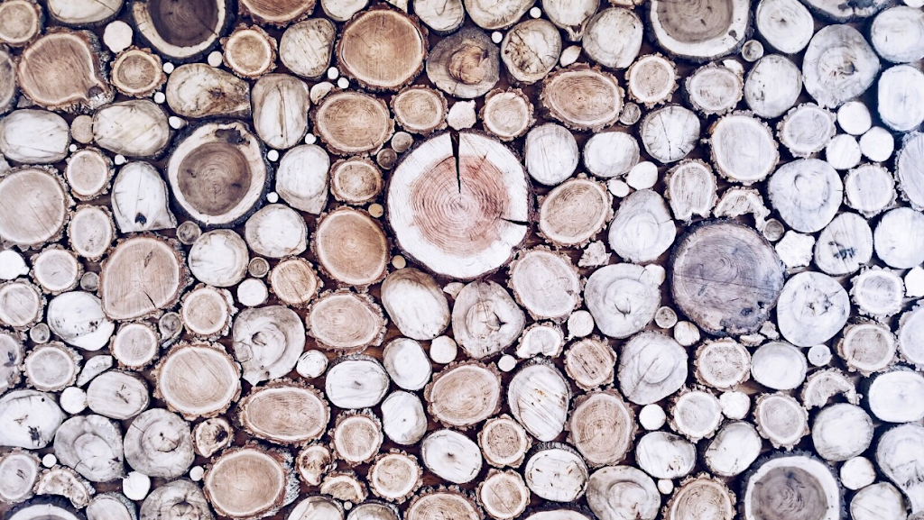 Papaito Rotisserie - San Leandro | restaurant | 500B Davis St, San Leandro, CA 94577, USA | 5103523300 OR +1 510-352-3300