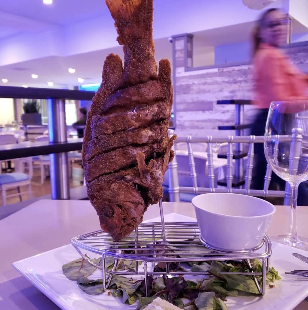 Casa Del Mar | restaurant | 1779 Webster Ave, Bronx, NY 10457, USA | 9174736670 OR +1 917-473-6670