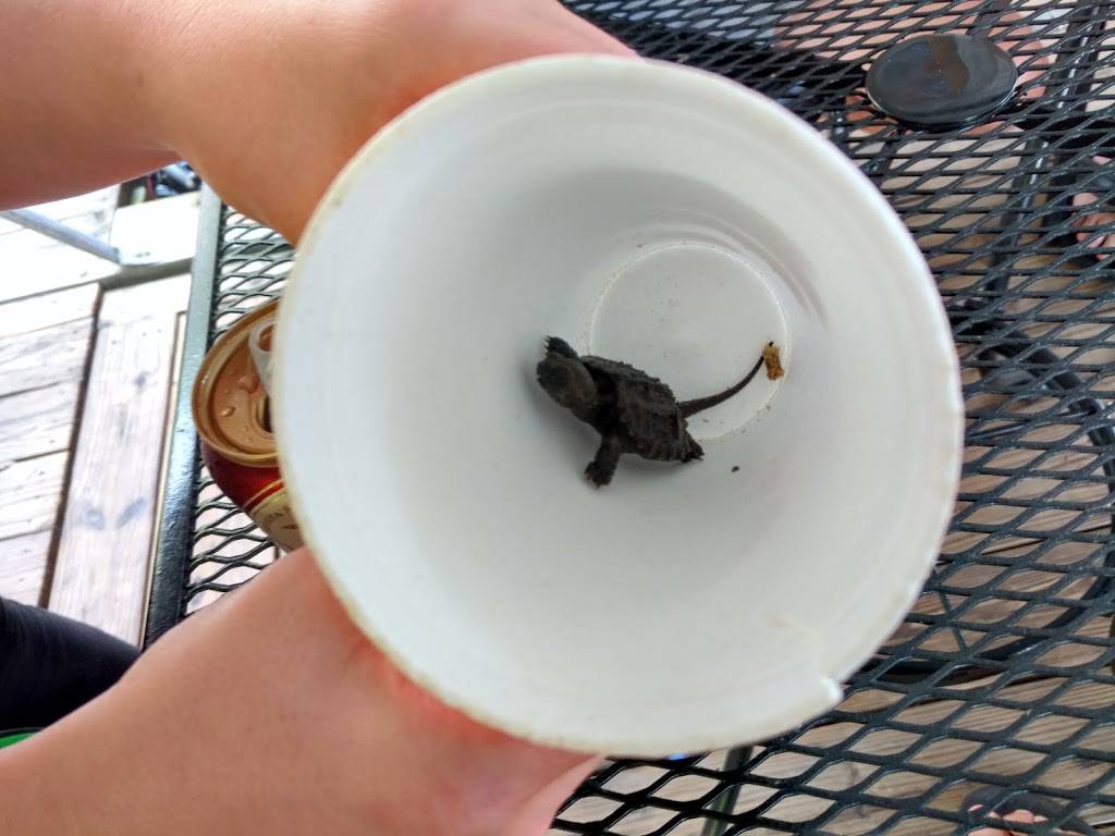 Riverboat Grill | restaurant | 101 Riverboat Landing, Frankfort, KY 40601, USA | 5022348949 OR +1 502-234-8949