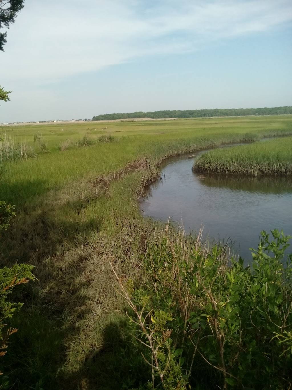 Ocean County Golf Course at Atlantis | restaurant | 261 Country Club Blvd, Little Egg Harbor Township, NJ 08087, USA | 6092962444 OR +1 609-296-2444