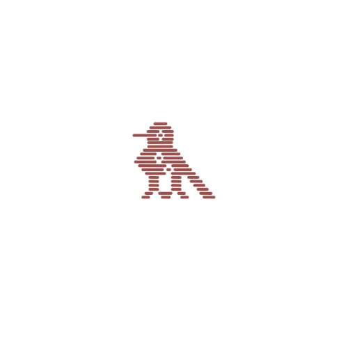 Taco Bar | restaurant | 7700 S Northshore Dr, Knoxville, TN 37919, USA | 8654159271 OR +1 865-415-9271