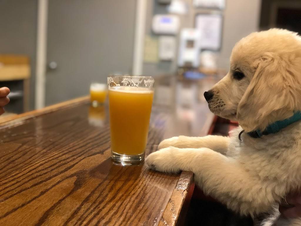 Happy Tap | restaurant | 1757 S 8th St, Colorado Springs, CO 80905, USA | 7195029093 OR +1 719-502-9093