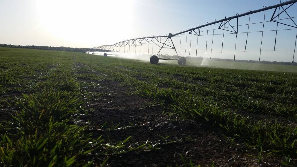 Prop Nuts RC Field | restaurant | Crosby, TX 77532, USA | 7138548403 OR +1 713-854-8403