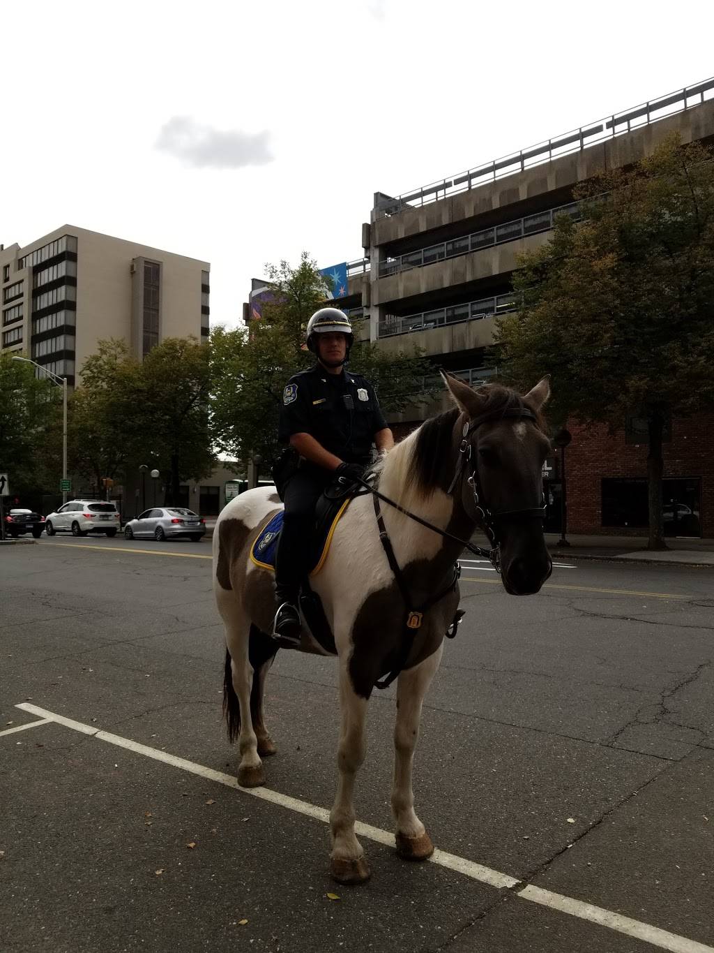 Subway | restaurant | 114 Grand St, Waterbury, CT 06702, USA | 2035738532 OR +1 203-573-8532