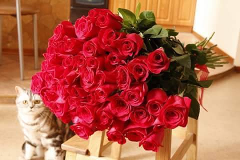 La Unica Cafe | restaurant | 1083 N Salem Dr, Schaumburg, IL 60194, USA | 8472781827 OR +1 847-278-1827