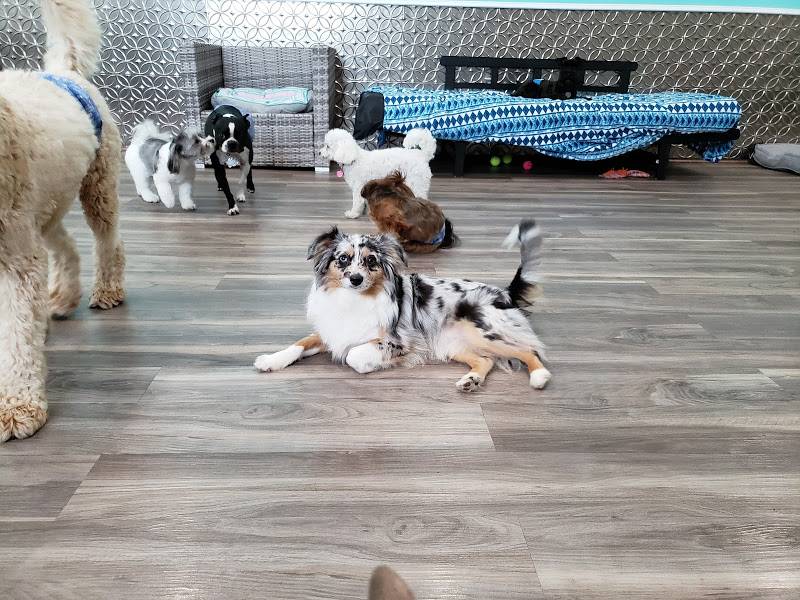 Pickles Playland | restaurant | 12669 NE 85th St, Kirkland, WA 98033, USA | 4252984530 OR +1 425-298-4530