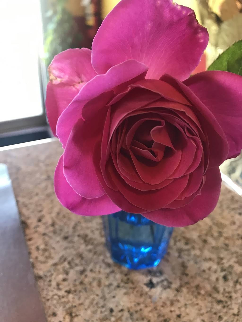 Tacos y Mariscos El Tiburon | restaurant | 1622 SW Roxbury St, Seattle, WA 98106, USA | 2067674026 OR +1 206-767-4026