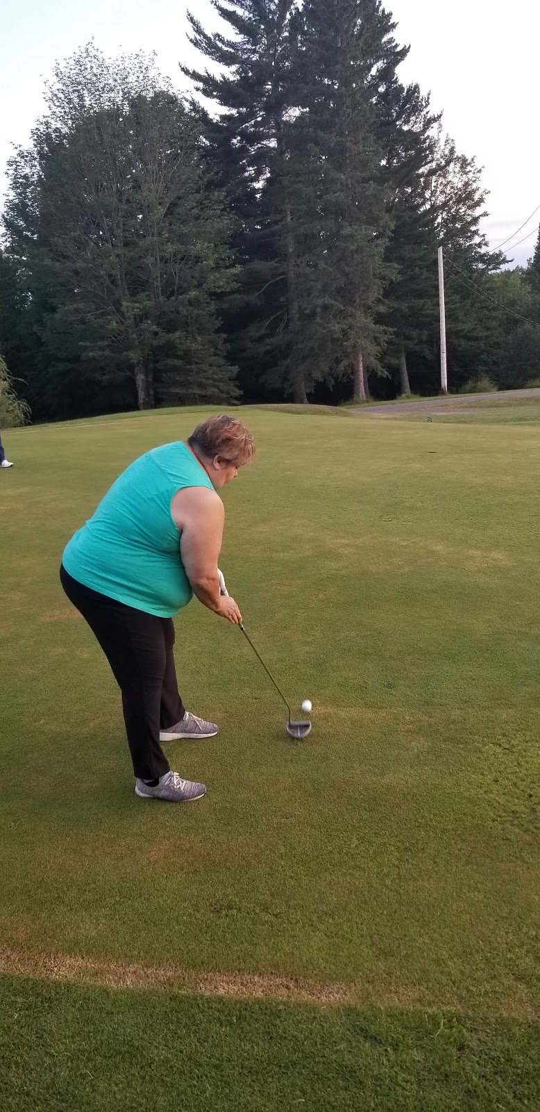 Omers Golf Course and Resort | restaurant | 5755 Poyhonen Rd, Toivola, MI 49965, USA | 9062883720 OR +1 906-288-3720