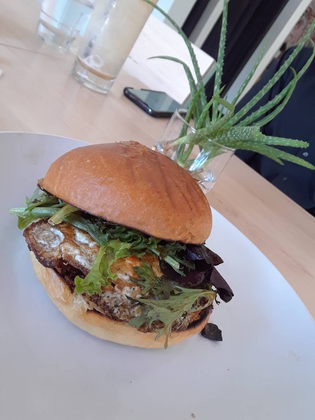 Locals Only | restaurant | 311 Alexander St, Rochester, NY 14604, USA | 5855377566 OR +1 585-537-7566