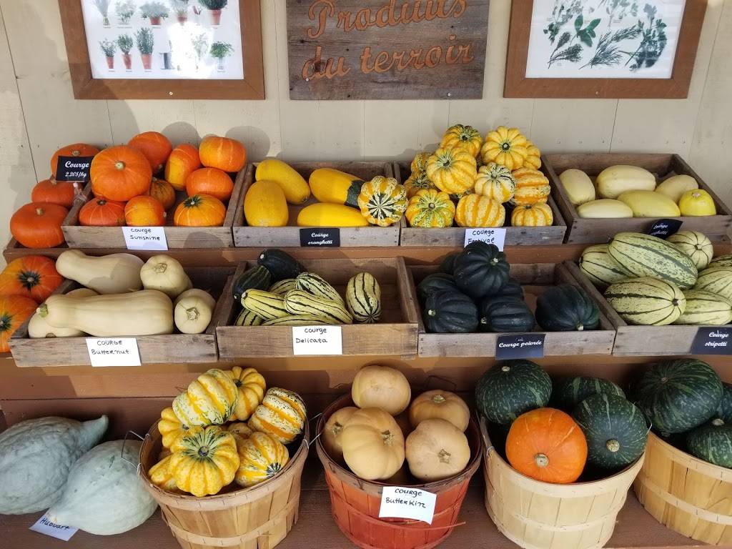 Marmite Du Terroir | restaurant | 1935 Chemin dOka, Oka, QC J0N 1E0, Canada | 4504151115 OR +1 450-415-1115