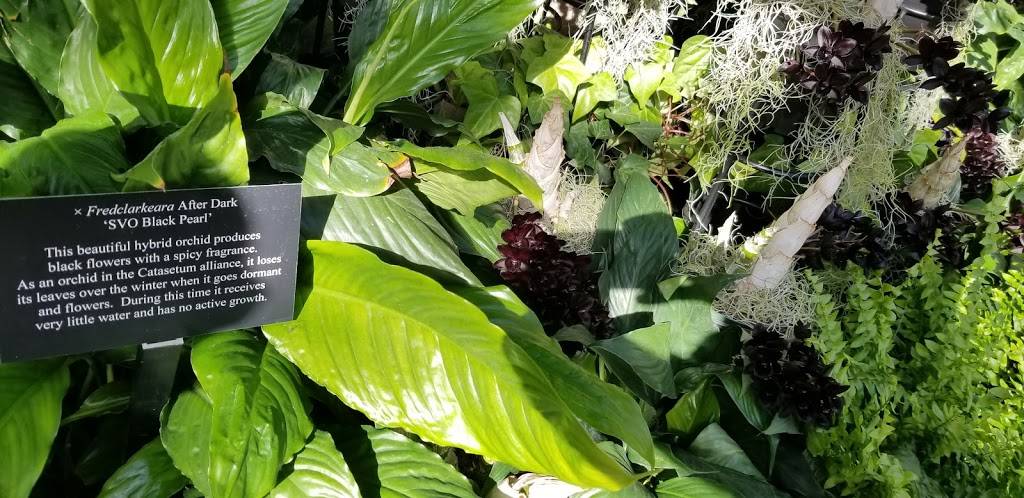 Kaow Thai | restaurant | 68 Drury Dr, La Plata, MD 20646, USA | 2409012910 OR +1 240-901-2910