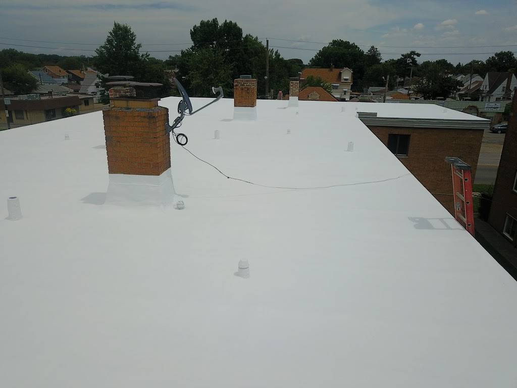 Sun Sun Restaurant | restaurant | 4203 Ridge Rd, Cleveland, OH 44144, USA | 2167495622 OR +1 216-749-5622