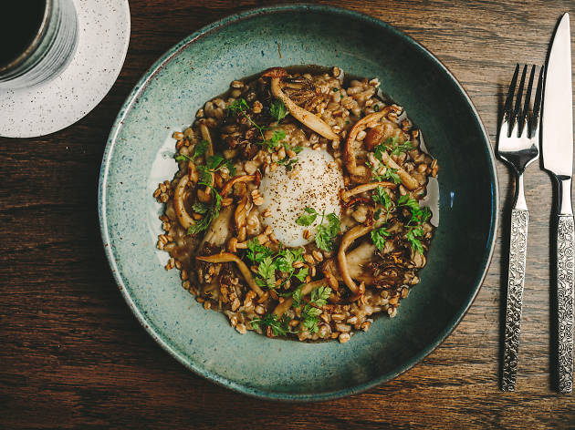 Clover Hill | restaurant | 20 Columbia Pl, Brooklyn, NY 11201, USA | 9293376580 OR +1 929-337-6580