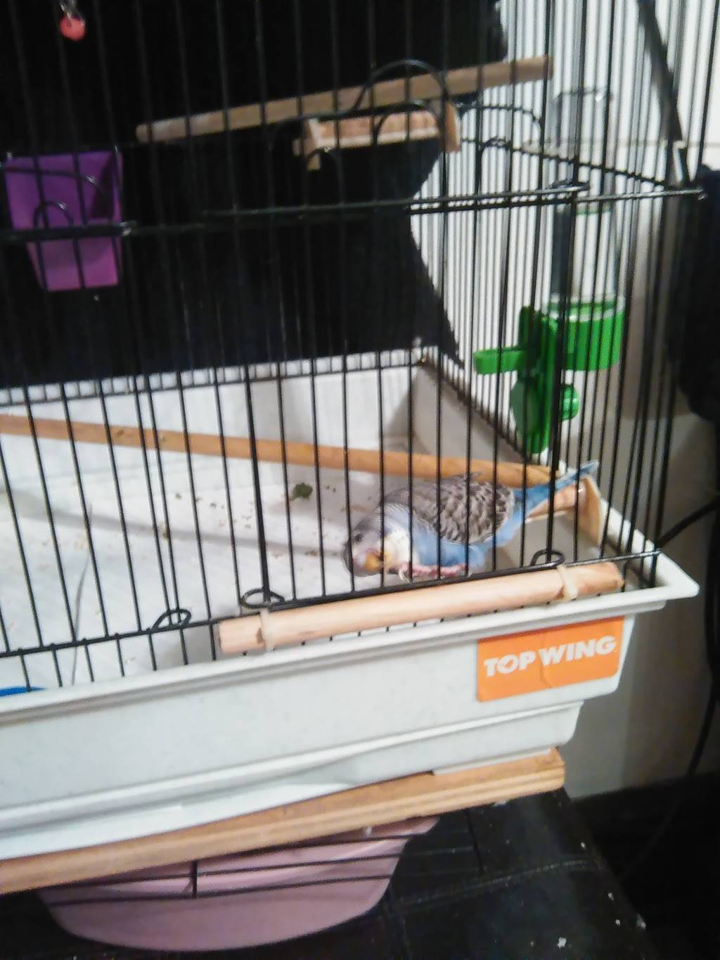 Venatel | restaurant | 555 N 10th St, Reading, PA 19604, USA | 6103707699 OR +1 610-370-7699