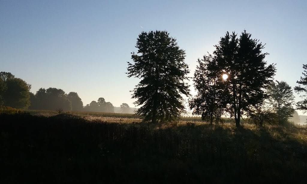 Burbach Concessions | restaurant | 6850 OH-534, West Farmington, OH 44491, USA | 3308892171 OR +1 330-889-2171