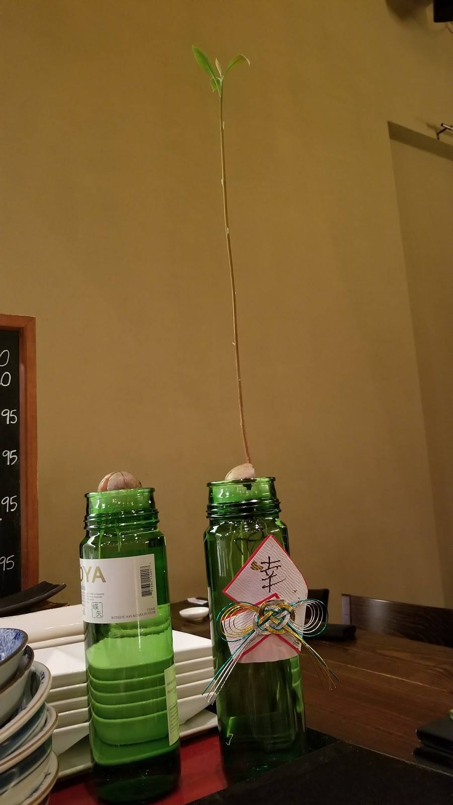 Sushi Nami | restaurant | 5316 Windward Pkwy, Alpharetta, GA 30004, USA | 6785663889 OR +1 678-566-3889