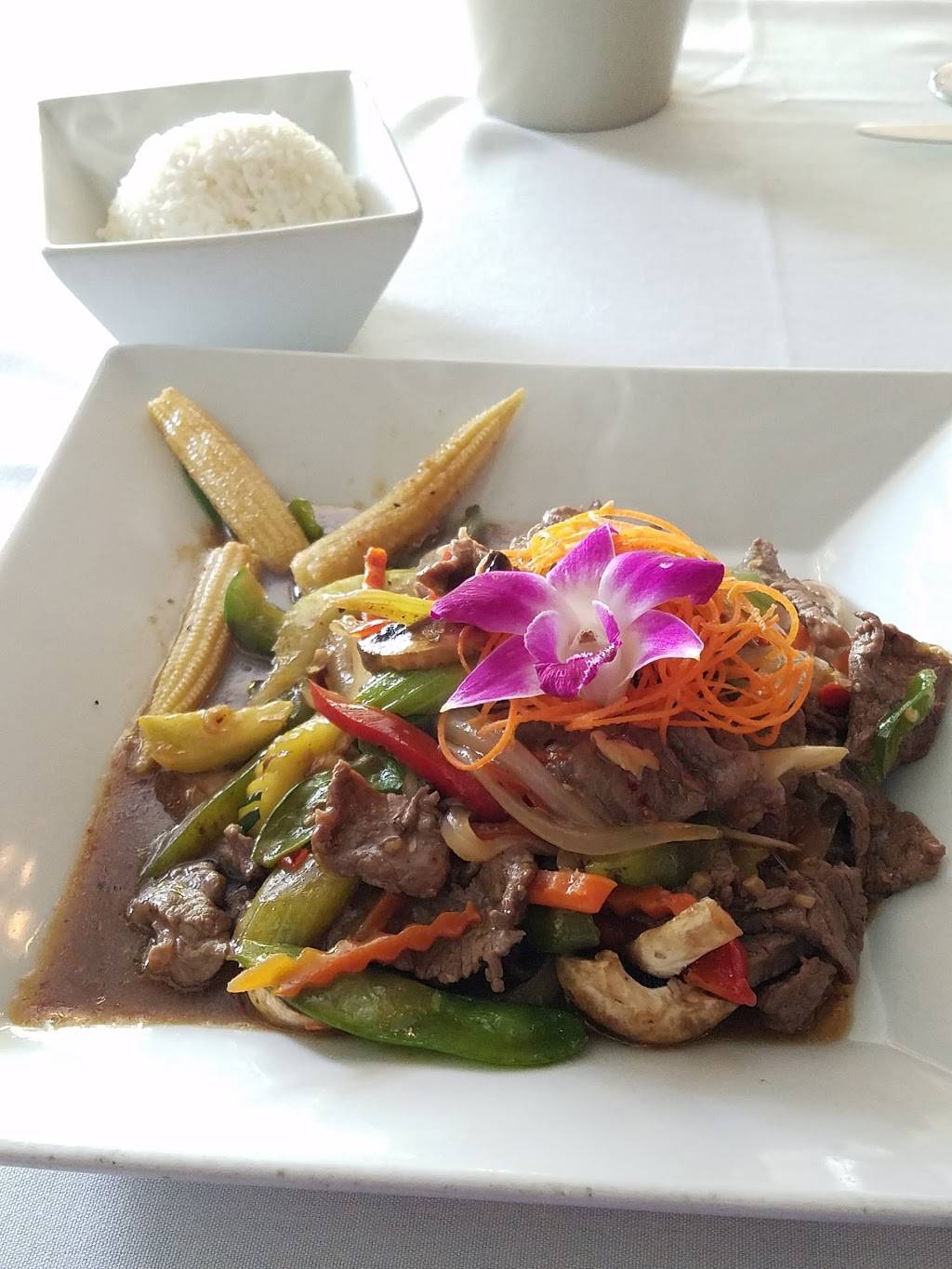 Orchid Thai Cuisine | restaurant | 305 N Park Ave, Winter Park, FL 32789, USA | 4073311400 OR +1 407-331-1400