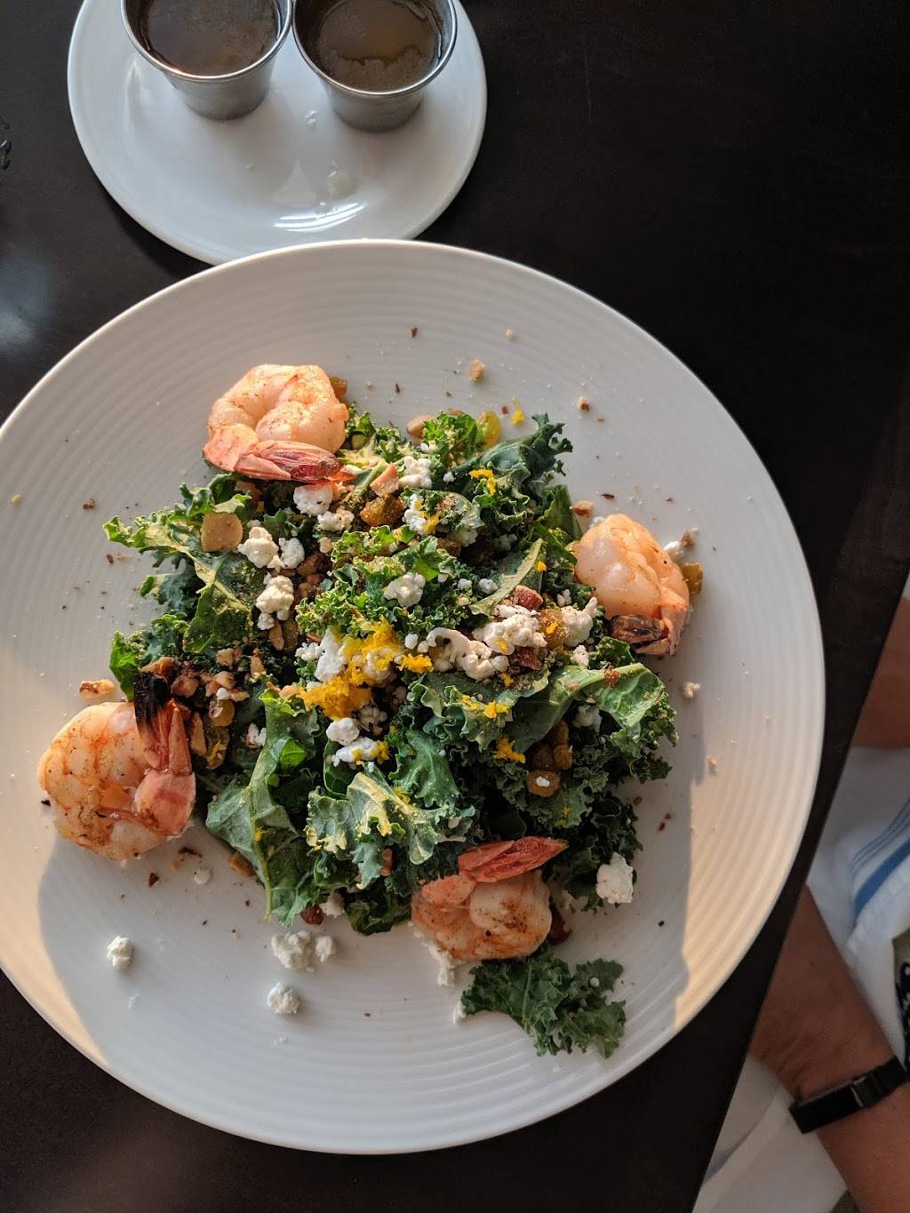 Steam Restaurant and Bar | restaurant | 9 Estell Lee Pl, Wilmington, NC 28401, USA | 9107269226 OR +1 910-726-9226