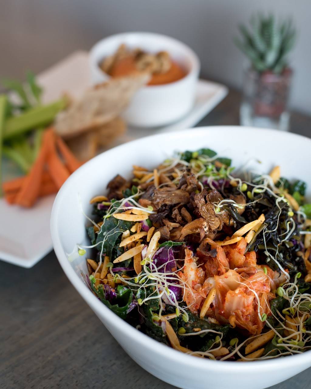 The Sanctum Cafe | cafe | 715 N Fern Creek Ave, Orlando, FL 32803, USA | 4077570346 OR +1 407-757-0346